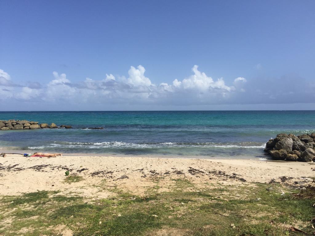 Location Guadeloupe Lejlighed Le Gosier  Eksteriør billede